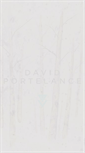 Mobile Screenshot of davidportelance.com